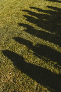 High angle view of shadow on field