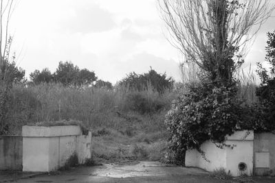 Built structure with trees in background