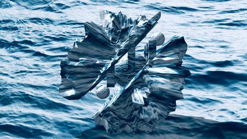 High angle view of leaf in the sea