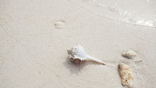 High angle view of sand on beach