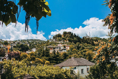 Trees and houses against sky