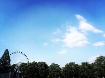 Low angle view of trees against blue sky