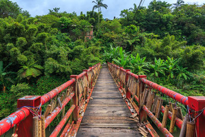 Footbridge amidst trees in forest