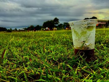 Close-up of drink on land against sky