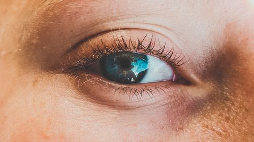 Close-up of human eye