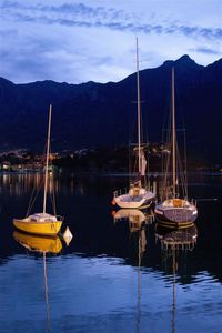 Sailboats moored in marina