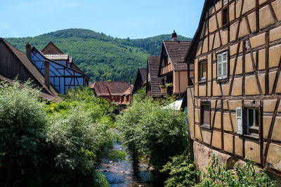 Trees and houses in city against sky