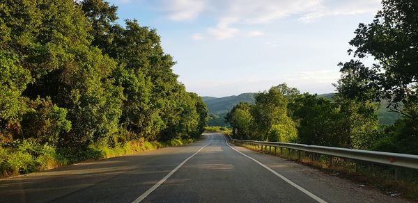 Panoramic view of empty road amidst trees against sky