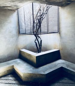 Interior of empty room