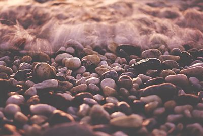 Close-up of fresh ground in sunlight