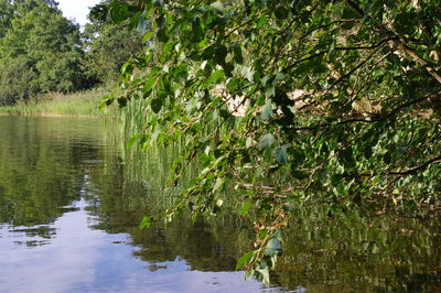 Scenic view of lake