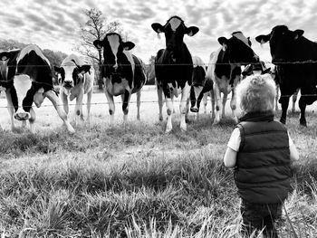Youmg boy walking on grassy field watching cows