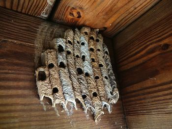 Close-up of wood