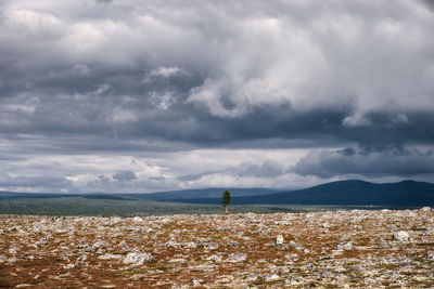 Rocky landscape against storm clouds with solitary tree
