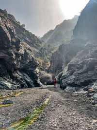 Rear view of person on rock by mountains