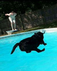 High angle view of woman swimming in pool