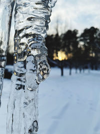 Close-up of icicles on field against sky during winter