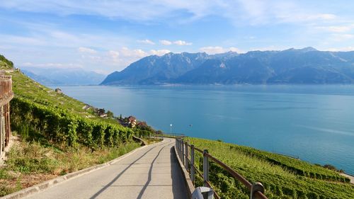 Scenic view of road by sea against sky