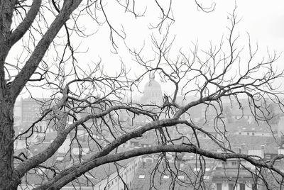 Low angle view of bare tree against sky