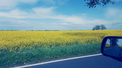 Scenic view of field against cloudy sky