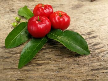 High angle view of tomatoes on table