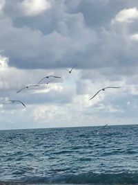 Seagulls flying over sea against sky