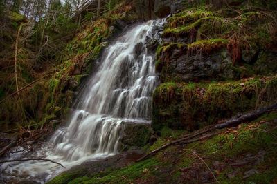 Waterfall in forest