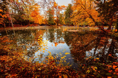 Scenic view of lake in forest during autumn