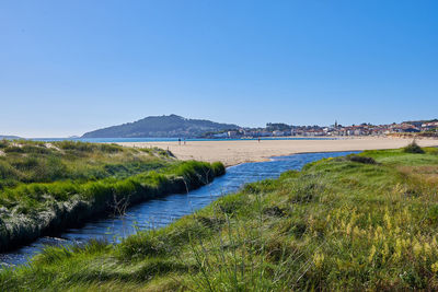 Scenic view of beach against clear blue sky