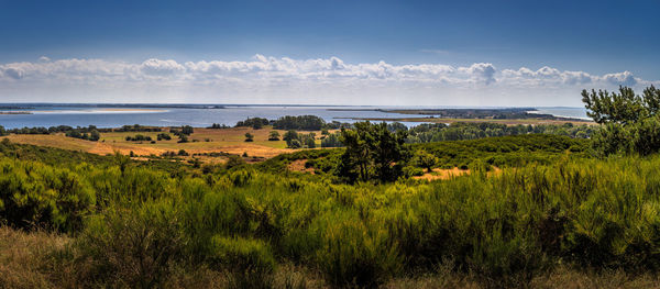 Scenic view of grassy field against sky