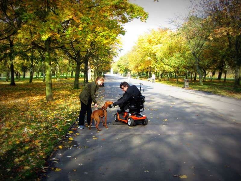 PEOPLE ON ROAD IN AUTUMN