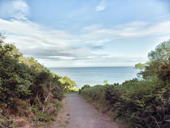 View of footpath by sea