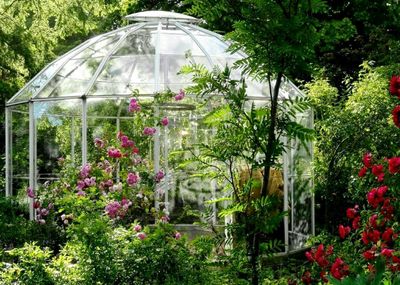 View of plants in garden