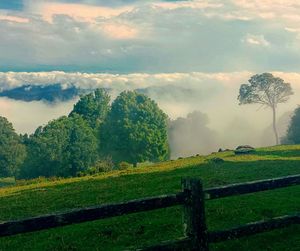 Scenic view of grassy field against cloudy sky