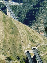 High angle view of road amidst trees and plants