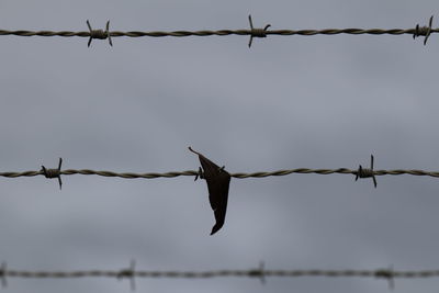 Low angle view of barbed wire against sky