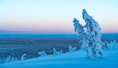 Scenic view of snow field against sky during sunset