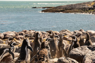 Scenic view of sea and rocks