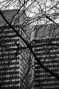 Low angle view of bare tree against sky