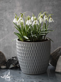 Close-up of white flower vase on table