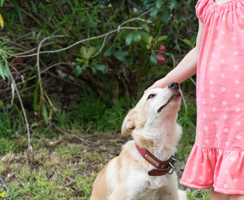 Low section of woman with dog