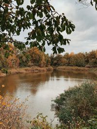 Scenic view of lake in forest against sky