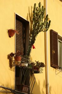 Low angle view of building