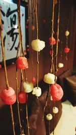 Close-up of fruits hanging on plant