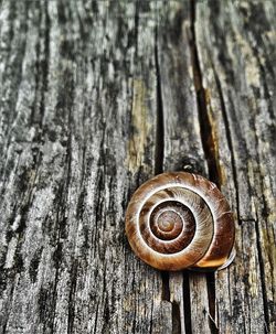 Close-up of wooden plank