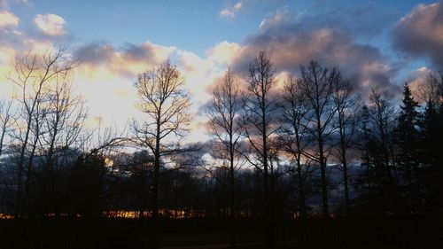 Low angle view of silhouette trees in forest against sky