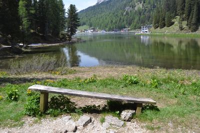 Scenic view of lake by trees