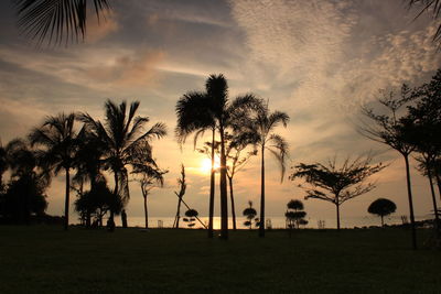 Silhouette palm trees on field against sky at sunset