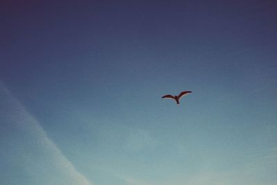 Low angle view of birds flying in sky