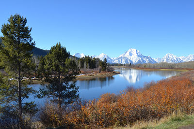 Scenic view of lake against clear blue sky